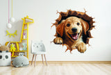 Dog porthole wall mural presentation.