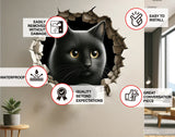 Black kitten cracked-wall illusion decal.