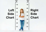 Additional product view of Vinyl Growth Chart Decal in Inches with 27 White Arrow Stickers.