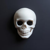 Product gallery image 5 of 3D Printed Skull Mask.