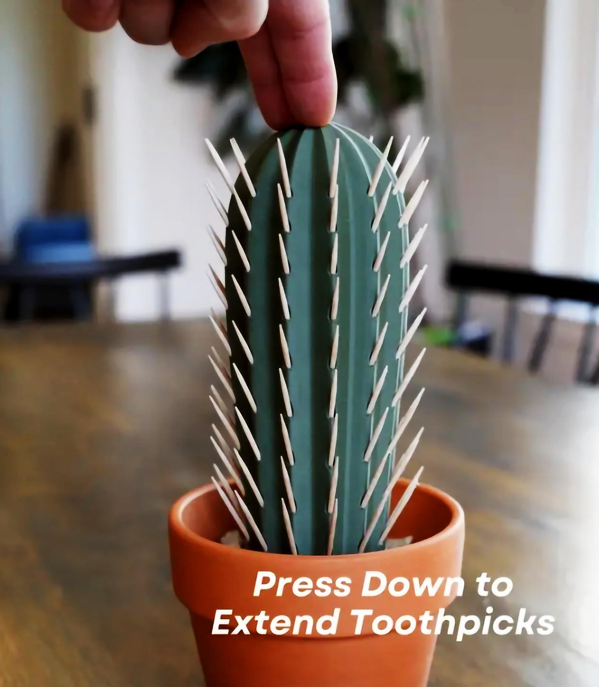 Unique cactus toothpick holder with extended toothpicks.