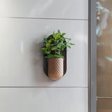 Product detail view of Modern Wall Planter.
