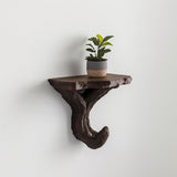 Product presentation view of 3D Printed Black Branch Wall Shelf.