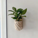 Additional product view of 3D Printed Wall Planter.