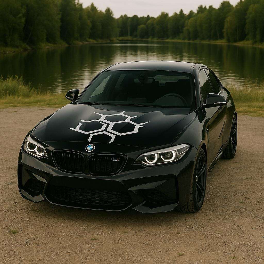 Alternate product view of Honeycomb Hood Car Decal.
