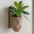 A modern wall-mounted planter with a faceted geometric design.