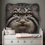 Alternate product view of Pallas Cat Wall Decal.