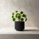 3D Printed Ribbed Black Planter shown in the product image.