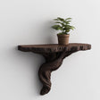 A dark brown 3D printed wall-mounted shelf with a sculpted, twisted tree root-style support and a matte finish.