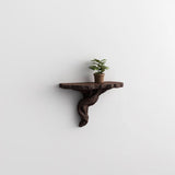 Additional product detail of 3D Printed Tree Root Wall Shelf.