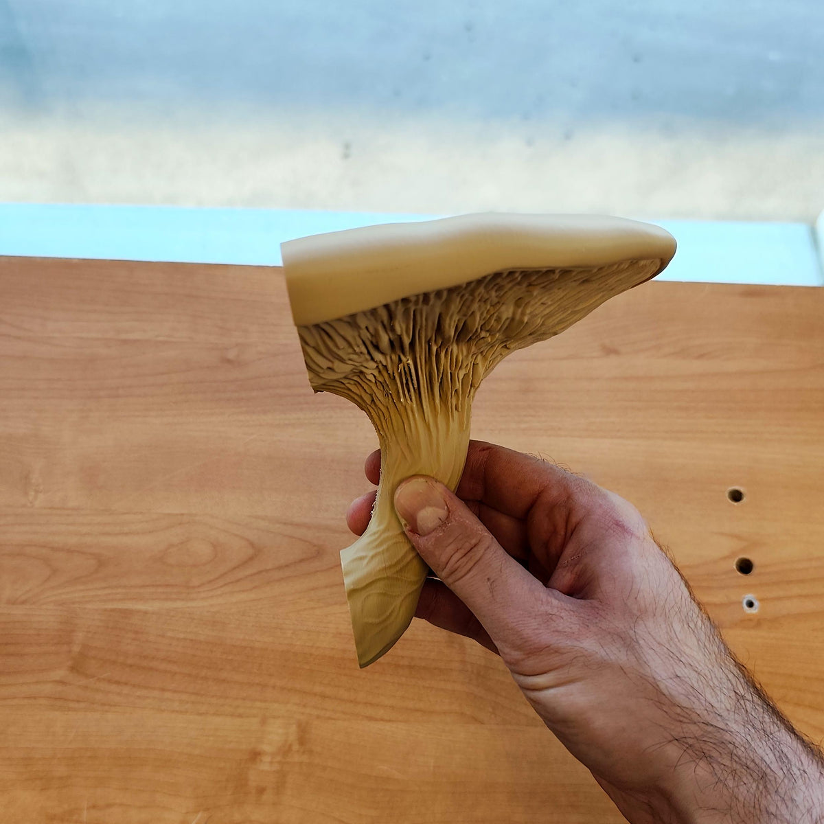 Product gallery view of 3D Printed Mushroom Wall Shelf.