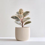 Minimalist Japanese-inspired 3D printed planter with a clean sculptural profile.