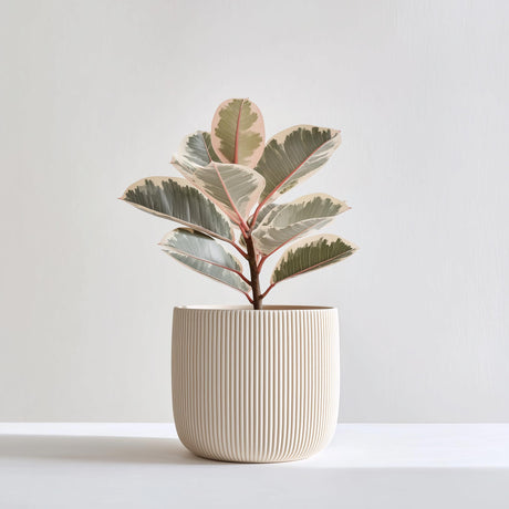 Minimalist Japanese-inspired 3D printed planter with a clean sculptural profile.