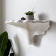 3D printed white shelf inspired by Turkey Tail mushroom.