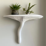 3D printed Artist's Conk mushroom wall shelf with a layered curved form and compact ledge.
