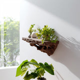 Product detail view of 3D Printed Root-Inspired Wall Shelf.