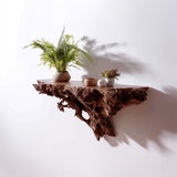 Alternate gallery view of 3D Printed Tree Root Shelf.