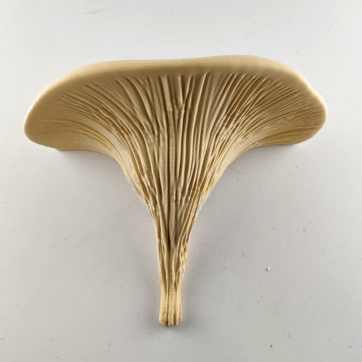 3D Printed Galerina Mushroom Shelf shown in the product image.