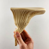 Alternate product view of 3D Printed Galerina Mushroom Shelf.