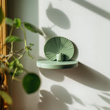 Product gallery view of 3D Printed Frog Wall Shelf.
