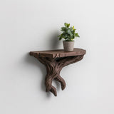 3D Printed Tree Branch Wall Shelf shown in the product image.