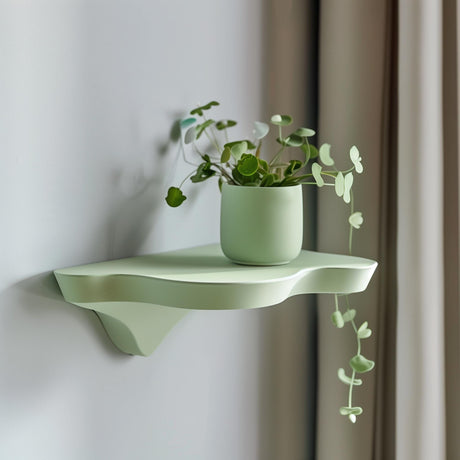 3D printed modern wall shelf with organic shape mounted on wall, holding a small plant.