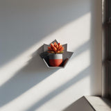 3D Printed Maple Leaf Wall Shelf shown in the product image.