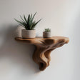 3D printed tree-root wall shelf with branching organic supports and a compact display surface.