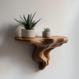 3D printed tree-root wall shelf with branching organic supports and a compact display surface.