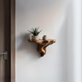 Product presentation view of 3D Printed Tree Root Wall Shelf.