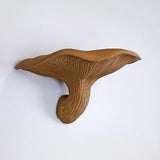 Product gallery view of 3D Printed Fungi Wall Shelf.