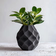 Black faceted 3D printed geometric vase holding green leafy stems on a white surface.