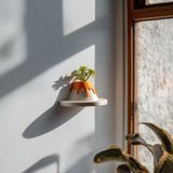 Alternate product view of 3D Printed Volcano Wall Planter Shelf.