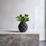 3D Printed Geometric Dry Flower Vase shown in the product image.
