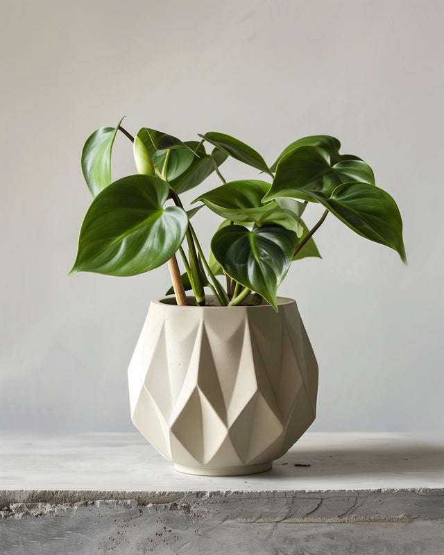 Cream-colored faceted geometric 3D printed planter with sharp angular surfaces.