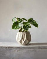 Additional product view of 3D Printed Geometric Faceted Planter.