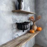 Alternate product view of 3D Printed Witch Cauldron Wall Shelf.