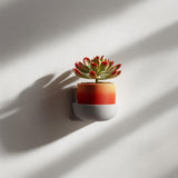Additional product view of 3D Printed Mug Planter Wall Shelf.