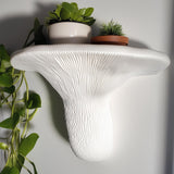 3D Printed Layered Mushroom Wall Shelf shown in the product image.