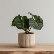 Beige cylindrical 3D printed planter with vertical ribbed grooves.