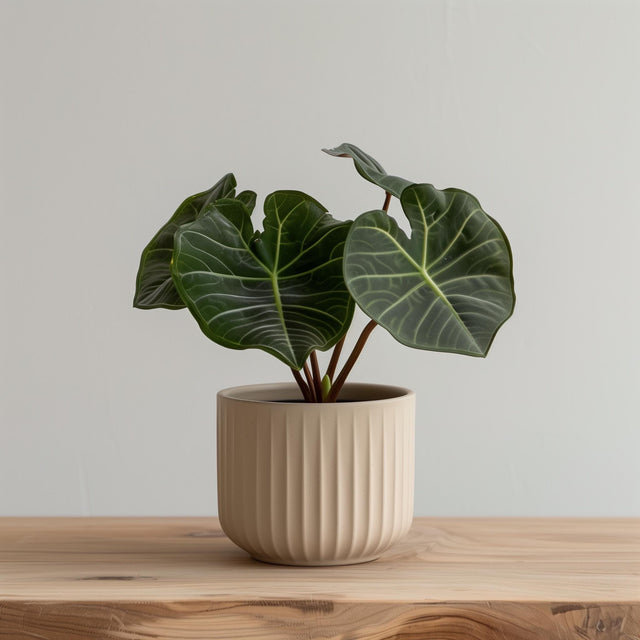 Beige cylindrical 3D printed planter with vertical ribbed grooves.