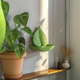 3D Printed Botanical Leaf Wall Shelf shown in the product image.
