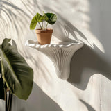 A sculptural white 3D printed wall shelf shaped like an Artist’s Conk mushroom, holding a small terracotta planter.