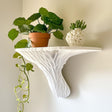 White 3D printed wall shelf inspired by the Deadly Galerina mushroom.