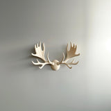 Alternate product view of 3D Printed Three-Piece Antler Wall Decor.