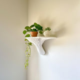 Additional product view of 3D Printed Galerina Mushroom Wall Shelf.