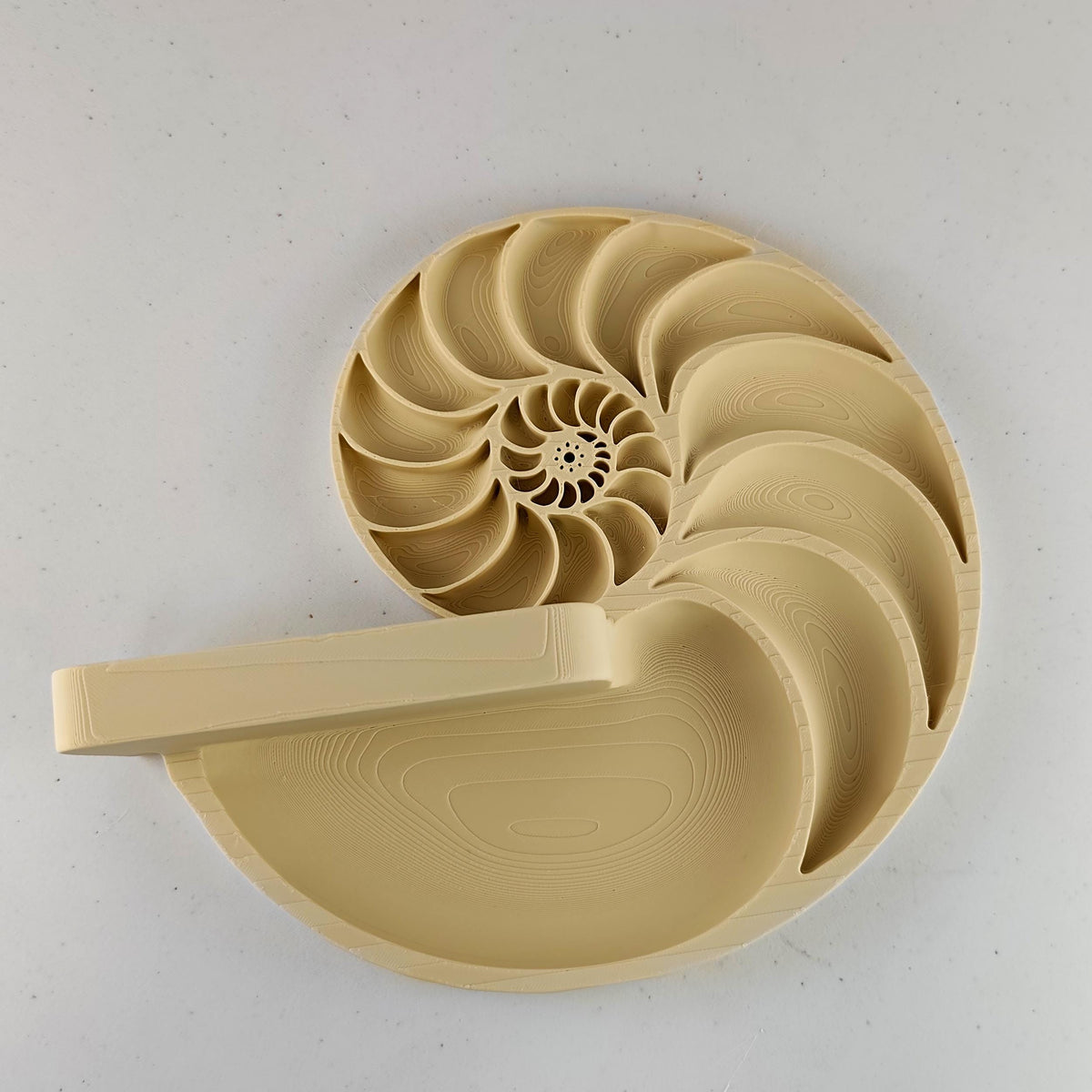 3D Printed Nautilus Spiral Wall Shelf shown in the product image.
