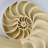 Additional product view of 3D Printed Nautilus Spiral Wall Shelf.