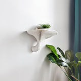 Product detail view of 3D Printed Honey Mushroom Wall Shelf.