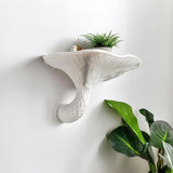 Additional product detail of 3D Printed Honey Mushroom Wall Shelf.